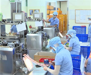 Gần 4.500 doanh nghiệp ở TP Hồ Chí Minh dự kiến cắt giảm lao động 