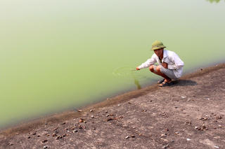 Yêu cầu đình chỉ trang trại lợn xả thải trực tiếp ra môi trường