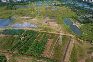 Ông Tất Thành Cang tiếp tục vướng vào 2 vụ án gây thất thoát nhiều tỷ đồng