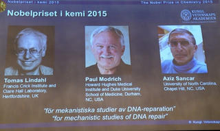 Nobel Hóa học 2015: Cơ chế tự sửa chữa DNA của tế bào