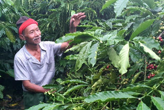 Những trụ cột của buôn làng