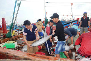 Khó khăn, ngư dân vẫn vươn khơi bám biển