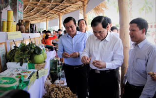 Duyên hải Nam Trung Bộ và Tây Nguyên: Khởi sắc Chương trình MTQG xây dựng NTM