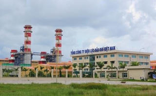 Hết hạn nghỉ phép, Phó Tổng Điện lực Dầu khí Việt Nam 'lén' đi học nước ngoài