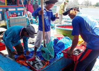 Ngư dân vui mừng trúng đậm cá kình