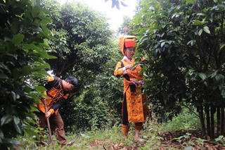 Đi lên từ thế mạnh địa phương