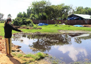 Trại nuôi bò gây ô nhiễm