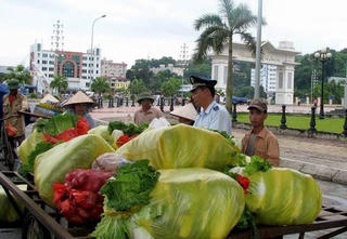 Hạn chế rủi ro cho xuất khẩu chính ngạch