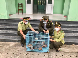 Thừa Thiên – Huế: Một người dân tự nguyện giao nộp động vật quý hiếm