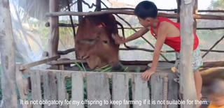 Phim Việt vào chung kết cuộc thi YouFarm toàn cầu