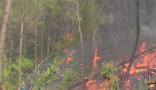 Thăm hỏi, động viên thân nhân gia đình nạn nhân vụ cháy rừng thông
