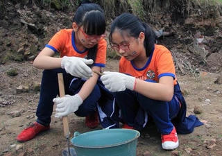 Hàng ngàn đoàn viên, sinh viên, học sinh tham gia các chương trình thiện nguyện