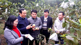 MTTQ Hà Tĩnh vượt khó vươn lên