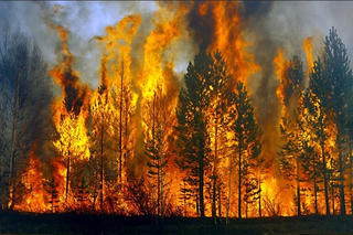 Đắk Lắk: Diễn tập chữa cháy rừng năm 2016