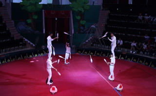 Tìm kiếm tài năng diễn viên xiếc toàn quốc.