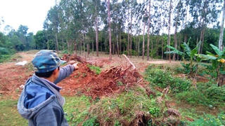 Quảng Trị: Học sinh lớp 9 tự vẫn vì bị nghi trộm hoa