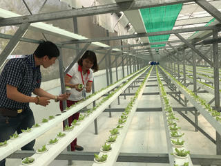 Phát triển nông nghiệp thông minh