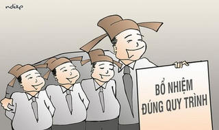 Chịu trách nhiệm liên đới khi bổ nhiệm nhầm
