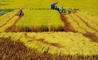 Xây dựng nền kinh tế tự chủ