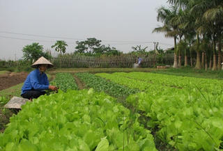 Bài cuối: Dồn điền đổi thửa - Xây dựng nông thôn mới - Đột phá để phát triển