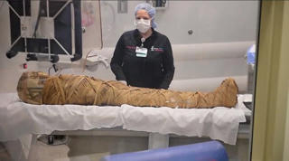 Khối u ung thư trong xác ướp Ai Cập 2.000 năm