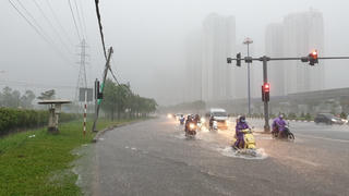 Sài Gòn ngập khắp nơi, cây đổ đè người đi xe máy