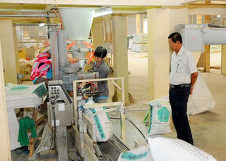 Sử dụng chất cấm trong chăn nuôi: Báo động đỏ