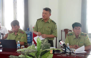 Thanh tra việc thực hiện chuyển đổi mục đích sử dụng rừng tại Phú Yên