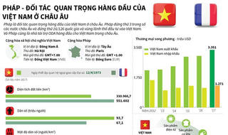[Infographics] Quan hệ đối tác chiến lược Việt Nam-Pháp