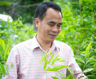 Người phụng sự cây trầm hương Việt Nam