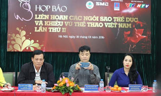 Liên hoan các Ngôi sao thể dục và Khiêu vũ thể thao Việt Nam lần thứ II