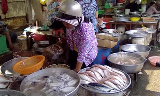 Chống thực phẩm bẩn