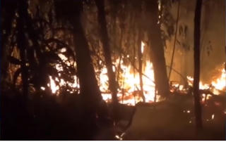 Trắng đêm cứu rừng trong Khu bảo tồn thiên nhiên Tà Cú