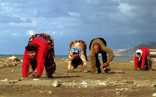 Đi bằng 4 chân, hay là hội chứng tiến hóa ngược