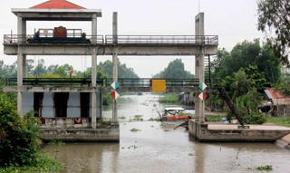 Hậu Giang: Mặn xâm nhập bất thường