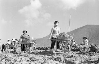 Đâu cần thanh niên có