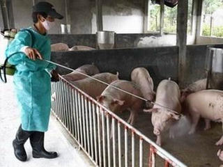 Hỗ trợ 2 tỉnh phòng chống dịch