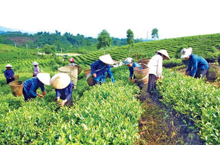 Chủ động tham mưu, đề xuất các chính sách giảm nghèo