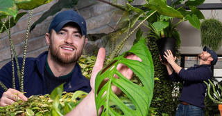 Sững sờ mỗi chiếc lá của cây đột biến trị giá gần 400 triệu đồng