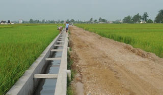 Thiếu nước, nhiều địa phương tạm dừng sản xuất vụ Đông Xuân