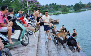 Tắm hồ ở Hà Nội vẫn lo đuối nước