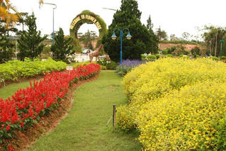 Vườn hoa Đà Lạt