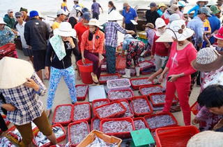 Quảng Nam: Xây dựng mô hình chợ thí điểm bảo đảm an toàn thực phẩm