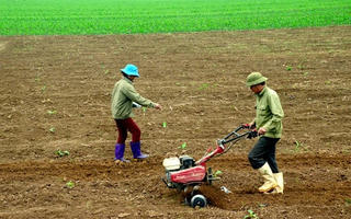 Gỡ khó cho thị trường phân bón