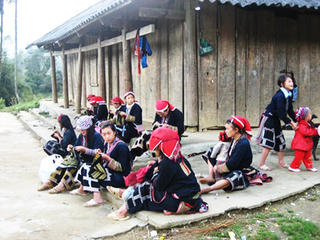 Trù phú Thanh Phú