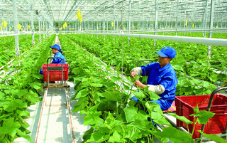Thúc đẩy hợp tác đầu tư vào nông nghiệp