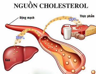 Những điều cần biết về cholesterol