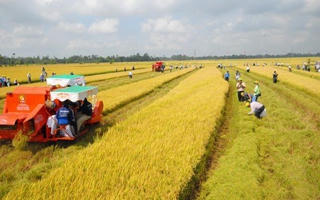 Chính phủ thống nhất mở rộng hạn điền, tích tụ ruộng đất