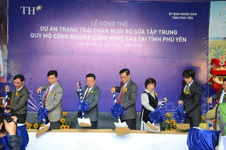 Tập đoàn TH phát triển 20.000 con bò sữa