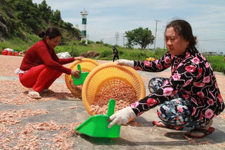 Những giấc mơ có thật